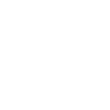 STEIGER DYNAMICS's page image