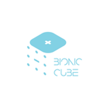 The official Bionic Cube logo.
