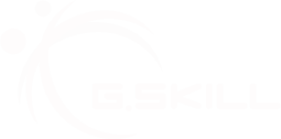 The official G.SKILL logo.