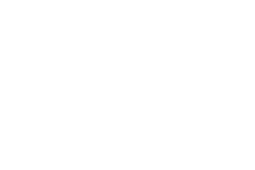 The official STEIGER DYNAMICS logo.